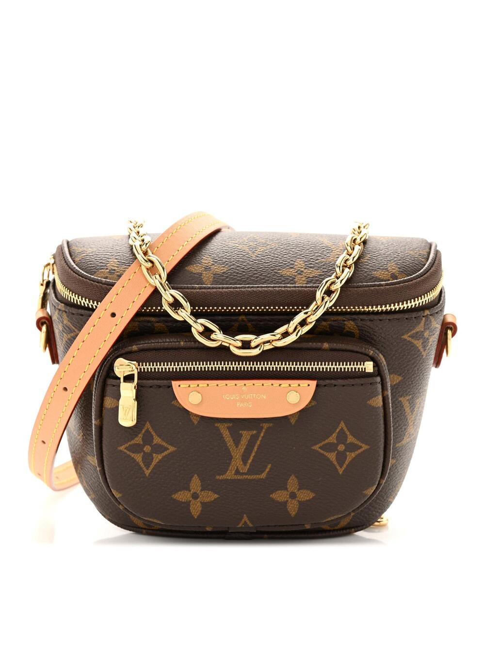 Louis Vuitton Mini Bumbag #364174L19B
